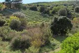Voie ferrée à Saint-Georges-d'Orques