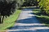 Voie ferrée à Saint-Georges-d'Orques