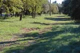 Voie ferrée à Saint-Georges-d'Orques