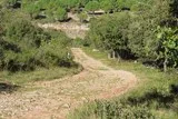 Voie ferrée à Saint-Georges-d'Orques