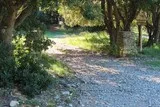 Chêne de Védas à Murviel-lès-Montpellier