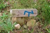 Rando télégraphe Chêne de Védas à Murviel-lès-Montpellier
