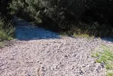 Chêne de Védas Chêne de Védas à Murviel-lès-Montpellier