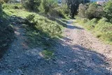 Chêne de Védas Chêne de Védas à Murviel-lès-Montpellier