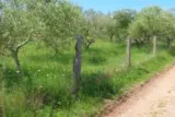 Saint-Christol Entre-Vignes