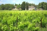 Saint-Christol Entre-Vignes