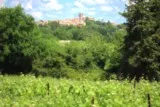 Saint-Christol Entre-Vignes