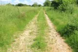 Saint-Christol Entre-Vignes