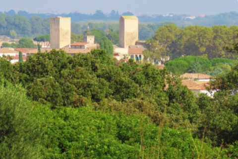 Pignan