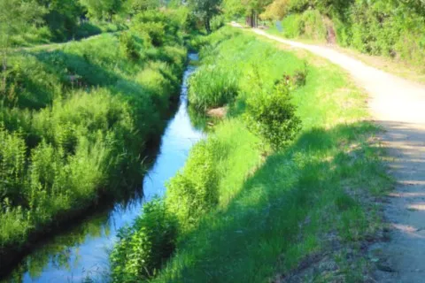 Le ruisseau du Dardaillon