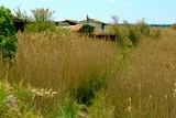 Cabanes de Lansargues Etang de l'Or