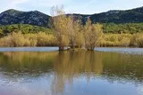 Lac de la Jasse Mas-de-Londres