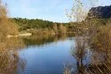 Lac de la Jasse Mas-de-Londres