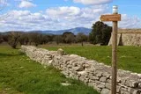 Sentier Asphodèles Ferrières-les-Verreries