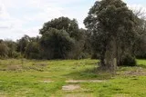 Sentier Asphodèles Ferrières-les-Verreries