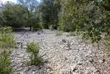 Sentier Asphodèles Ferrières-les-Verreries