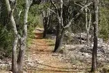 Sentier Asphodèles Ferrières-les-Verreries