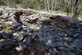 Sentier Asphodèles Ferrières-les-Verreries