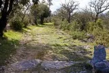 Sentier Asphodèles Ferrières-les-Verreries