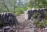 Sentier Asphodèles Ferrières-les-Verreries