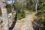 Sentier Asphodèles Ferrières-les-Verreries