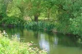 Cabanes de Lansargues Etang de l'Or