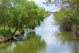 Cabanes de Lansargues Etang de l'Or