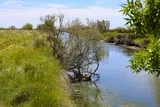 Cabanes de Lansargues Etang de l'Or