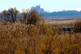 Cabanes de Lansargues Etang de l'Or