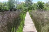 Cabanes de Lansargues Etang de l'Or
