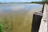 Cabanes de Lansargues Etang de l'Or
