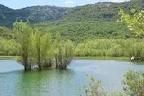 Lac de la Jasse Mas-de-Londres