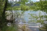 Lac de la Jasse Mas-de-Londres