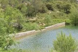 Lac de la Jasse Mas-de-Londres