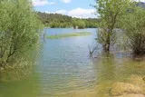 Lac de la Jasse Mas-de-Londres