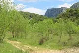 Lac de la Jasse Mas-de-Londres
