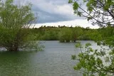 Lac de la Jasse Mas-de-Londres