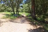 Bois de Lèque Saint-Jean-de-Cuculles