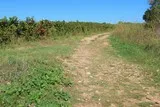 Sentier de Valinière Saint-Drézéry