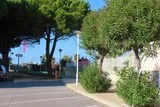 L'homme-oiseau à Port-Camargue