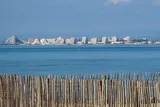 L'homme-oiseau à Port-Camargue