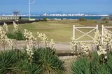 L'homme-oiseau à Port-Camargue