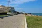 L'homme-oiseau à Port-Camargue