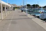 L'homme-oiseau à Port-Camargue