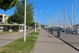 L'homme-oiseau à Port-Camargue