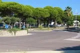 L'homme-oiseau à Port-Camargue