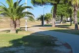 L'homme-oiseau à Port-Camargue