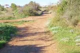 Mosson-Garrigue-St-Jean-De-Vedas