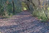 Mosson-Garrigue-St-Jean-De-Vedas