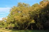 Mosson-Garrigue-St-Jean-De-Vedas